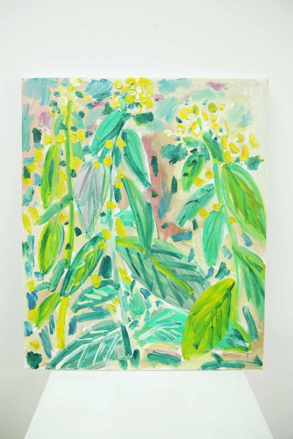 油菜花.jpg